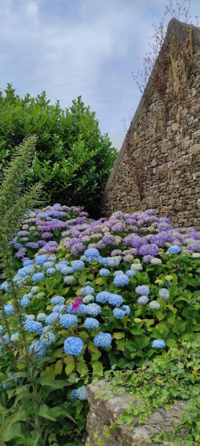 - Les Pivoines - Les Jardins De Kerellec - 20min De La 4 A 6 Personnes Terrasse Jacuzzi