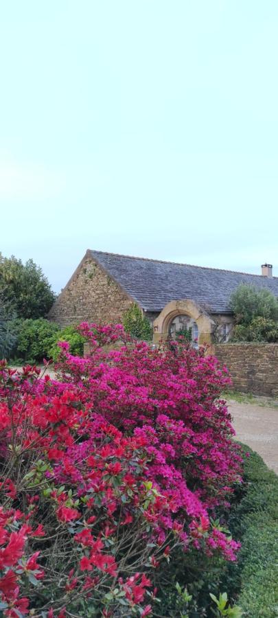 - Les Pivoines - Les Jardins De Kerellec - 20min De La 4 A 6 Personnes Terrasse Jacuzzi